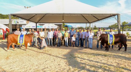 Cooperados CODEPA participam da Expobel 2020