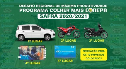 Desafio Regional de M&aacute;xima Produtividade