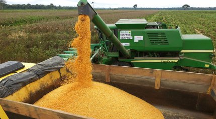 Produ&ccedil;&atilde;o agr&iacute;cola no Brasil
