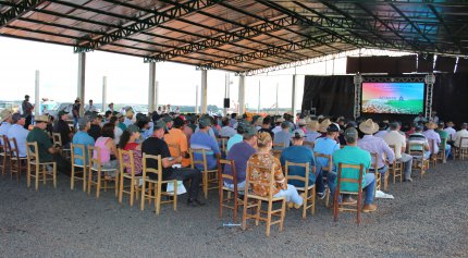 Dia de Campo de Ver&atilde;o 2019