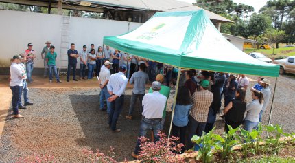 Dia de Campo CODEPA e Nutron/Cargill 