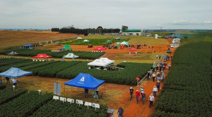 Dia de Campo de Ver&atilde;o Virtual 