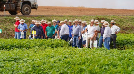 CODEPA realiza mais um Dia de Campo de Ver&atilde;o 