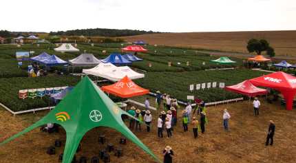 Vem a&iacute; Dia de Campo das Culturas de Ver&atilde;o CODEPA 2024