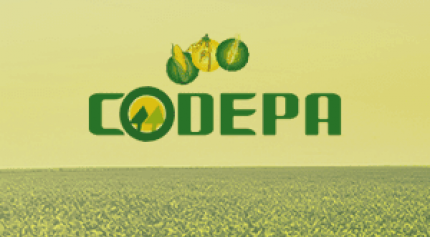 CODEPA realiza Assembleia no formato Digital