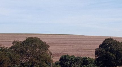Vazio sanit&aacute;rio da soja no Paran&aacute;